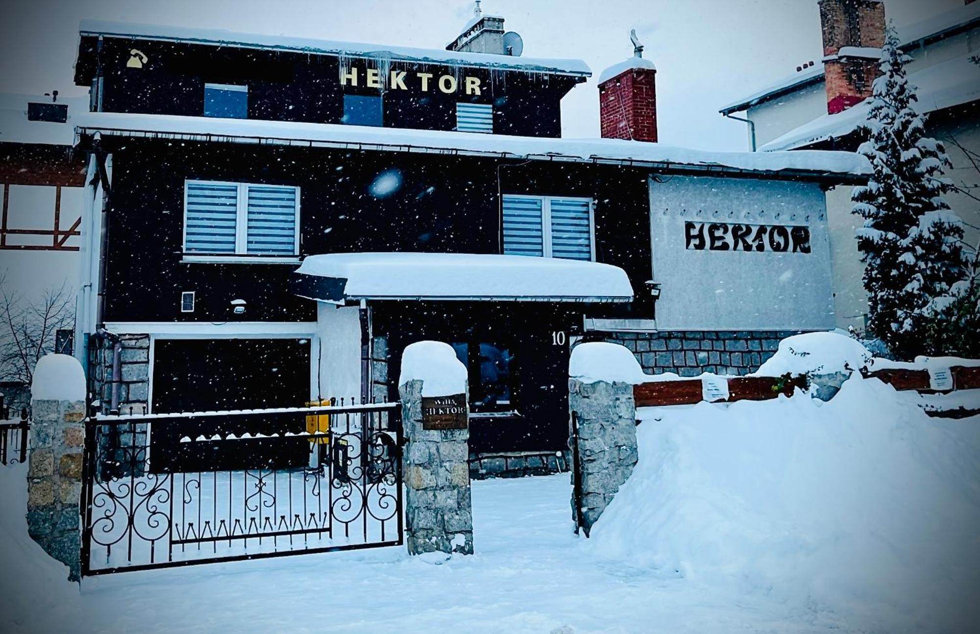 Willa Hektor Шклярська Поремба Екстер'єр фото