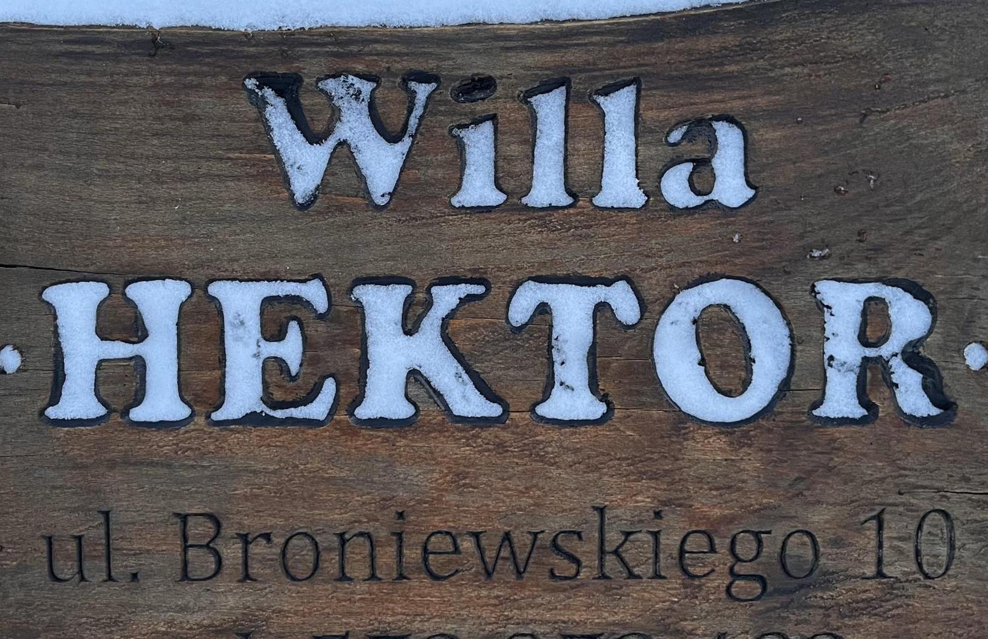 Willa Hektor Шклярська Поремба Екстер'єр фото